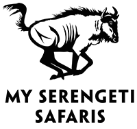 My Serengeti Safaris