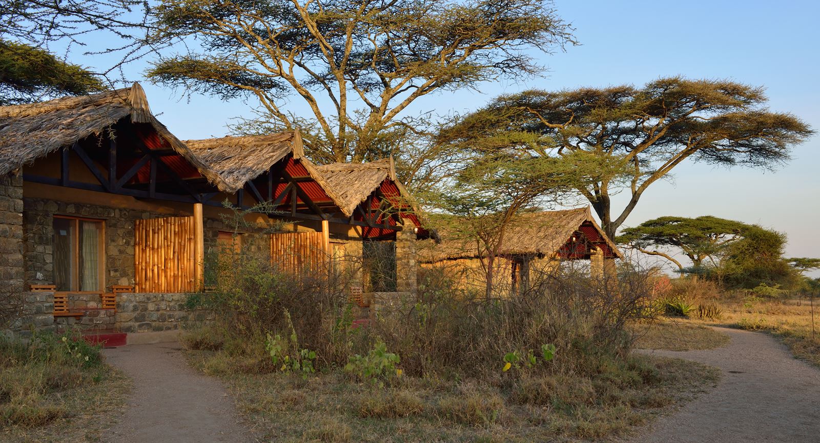 Ndutu Lodge